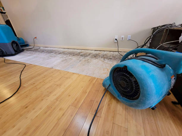 Professional Structural Drying technician working in Dixon, MO